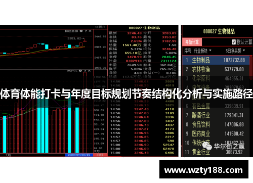 体育体能打卡与年度目标规划节奏结构化分析与实施路径